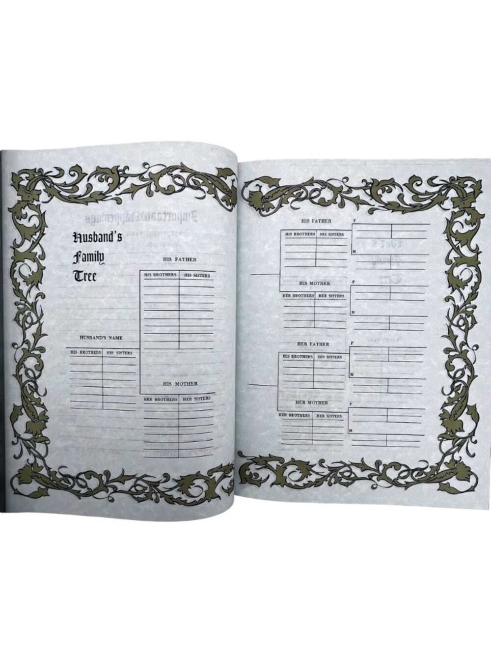 Holy Bible Guiding Light Edition 1965 King James Version Family Record Illustrat - Picture 7 of 16